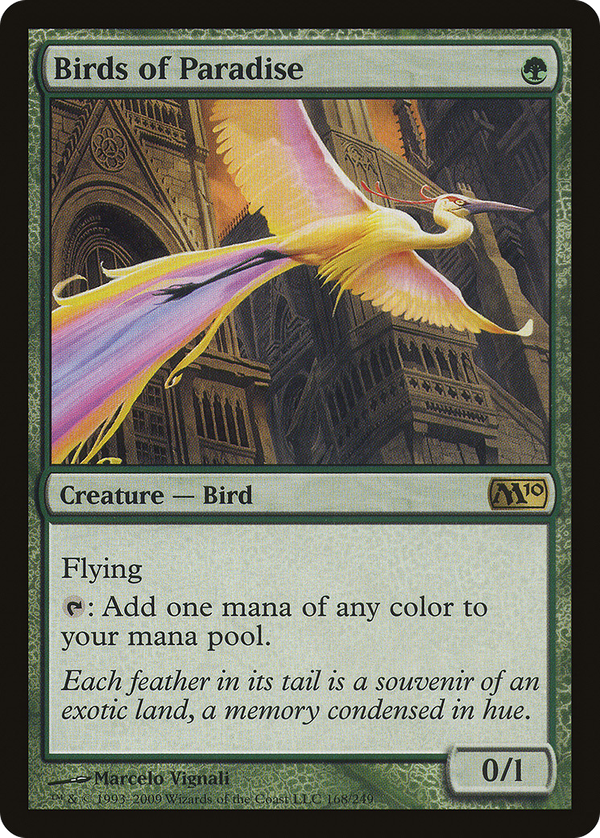 Birds of Paradise (m10)