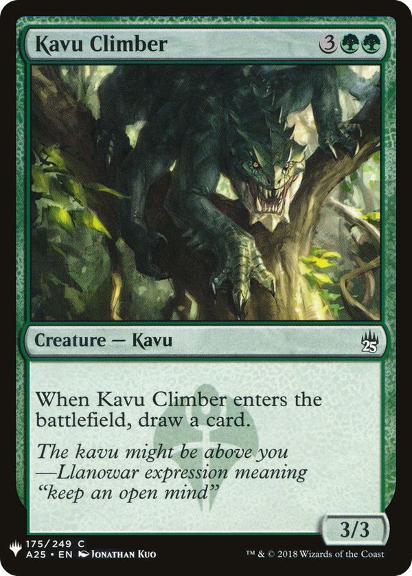 Kavu Climber (plst)