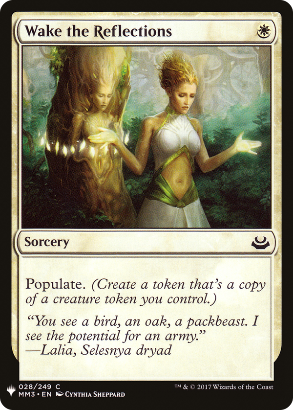 Wake the Reflections (plst)