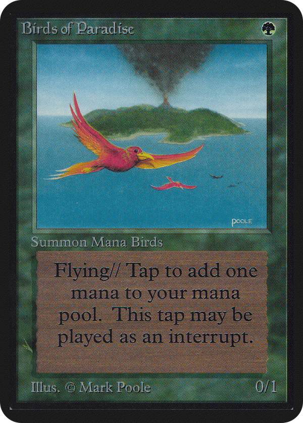 Birds of Paradise (lea)