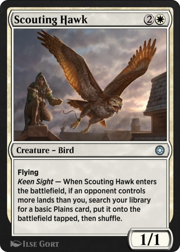 Scouting Hawk (hbg)