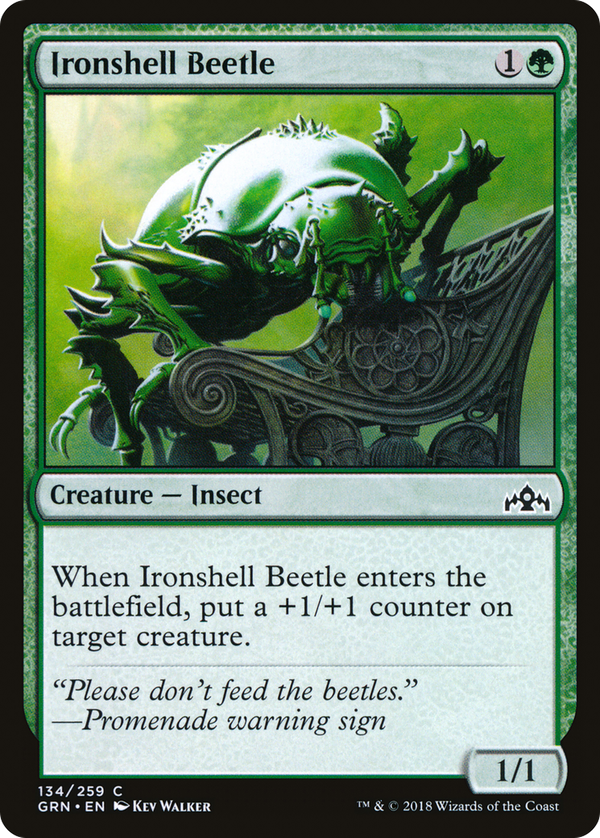 Ironshell Beetle (grn)