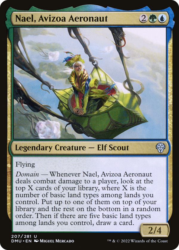 Nael, Avizoa Aeronaut (dmu)