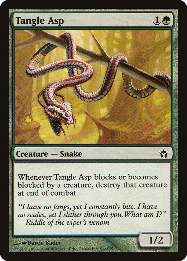 Tangle Asp (5dn)