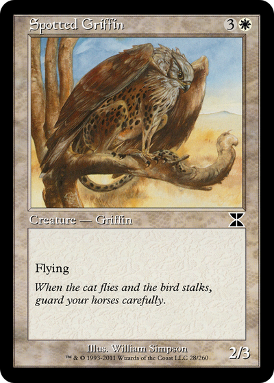 Spotted Griffin