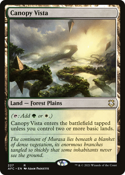 Canopy Vista
