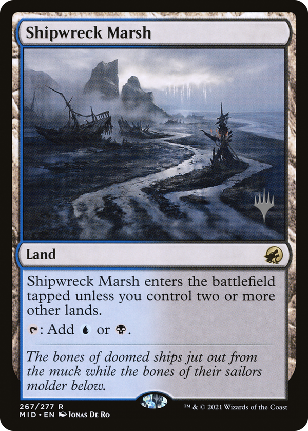 Shipwreck Marsh (pmid)