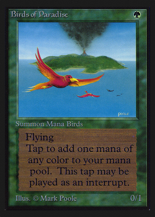 Birds of Paradise (ced)