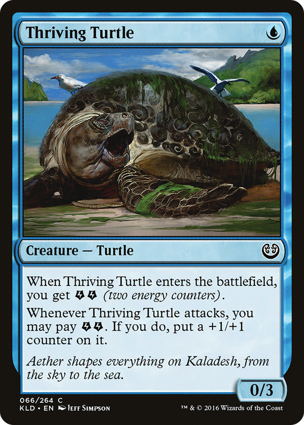 Thriving Turtle (kld)