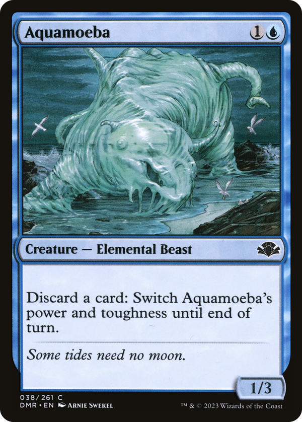 Aquamoeba (dmr)