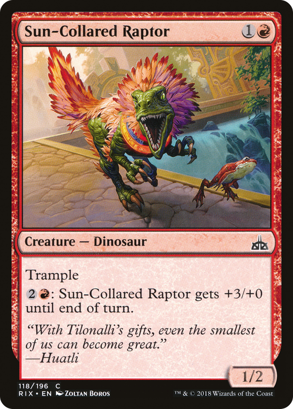 Sun-Collared Raptor (rix)