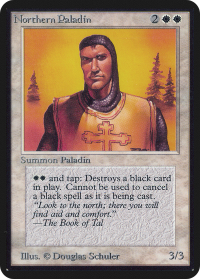 Northern Paladin