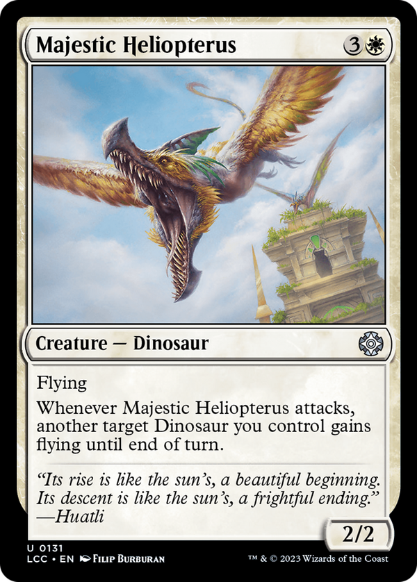 Majestic Heliopterus (lcc)