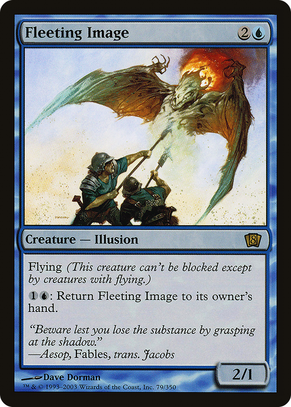 Fleeting Image (8ed)