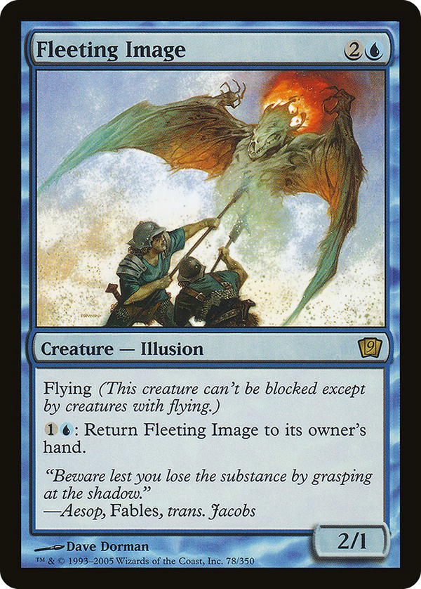 Fleeting Image (9ed)