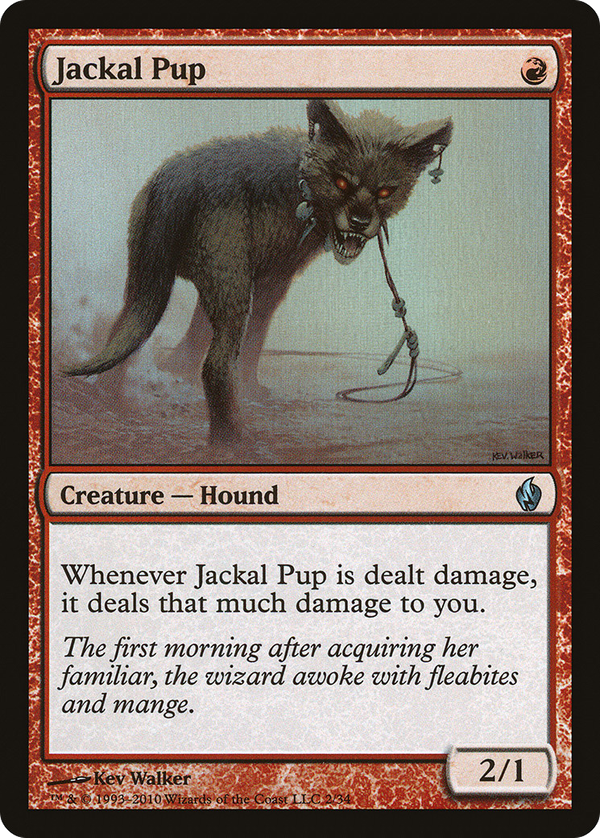 Jackal Pup (pd2)