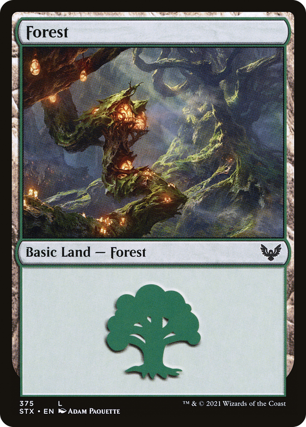 Forest (stx)