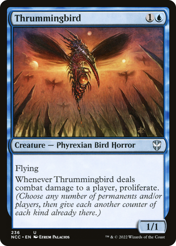 Thrummingbird (ncc)