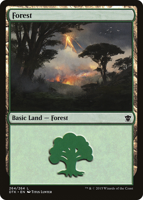 Forest (dtk)