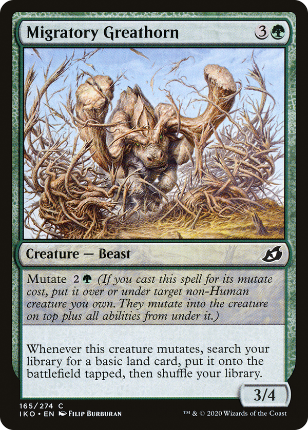 Migratory Greathorn (iko)