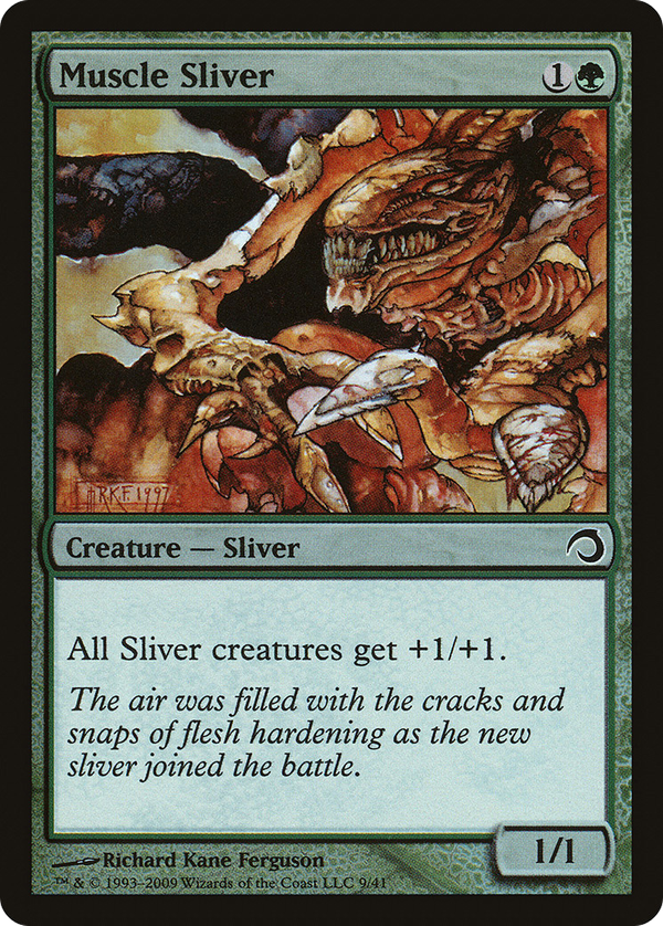 Muscle Sliver (h09)