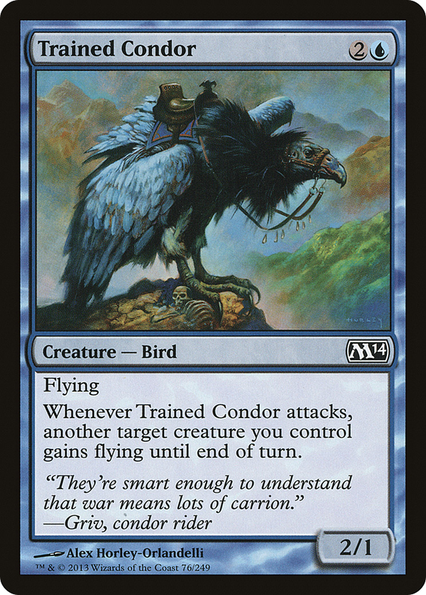 Trained Condor (m14)