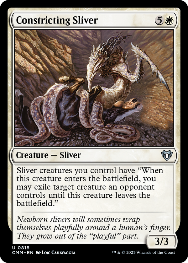 Constricting Sliver (cmm)