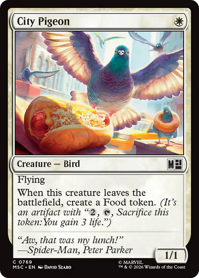 City Pigeon