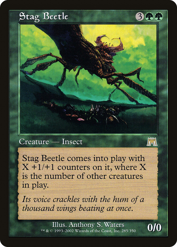 Stag Beetle (ons)