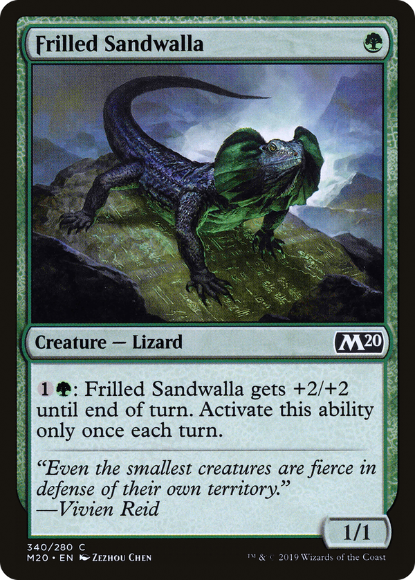 Frilled Sandwalla (m20)
