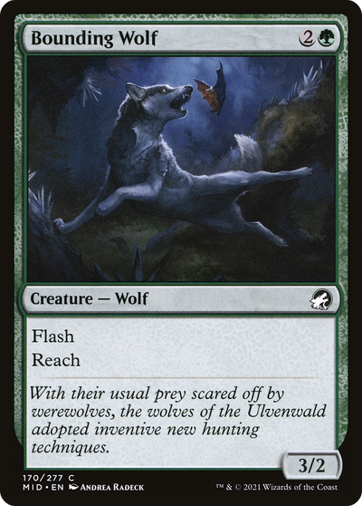 Bounding Wolf