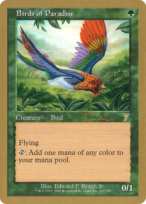 Birds of Paradise (wc01)