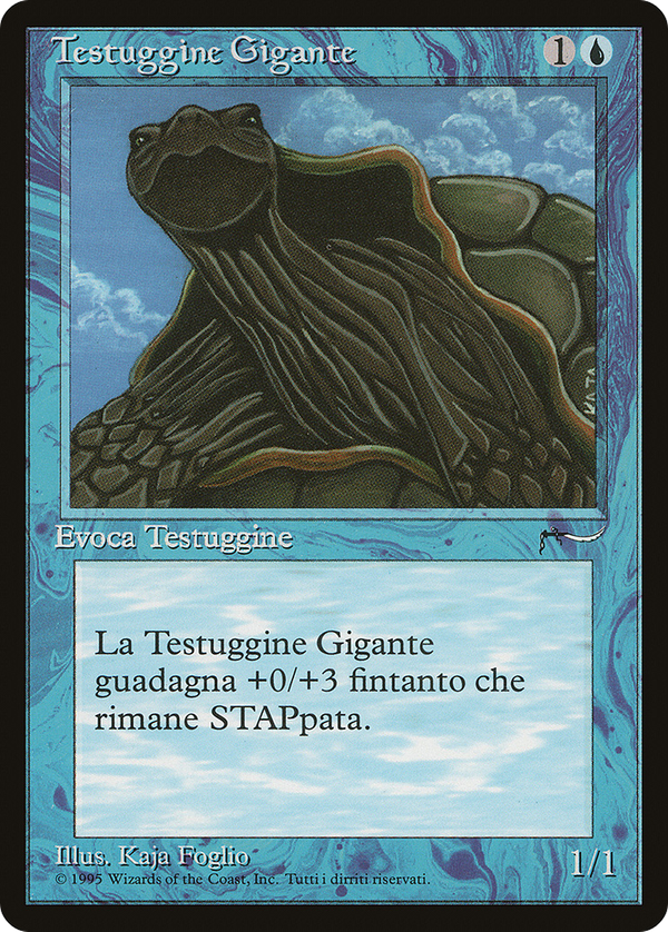 Giant Tortoise (rin)