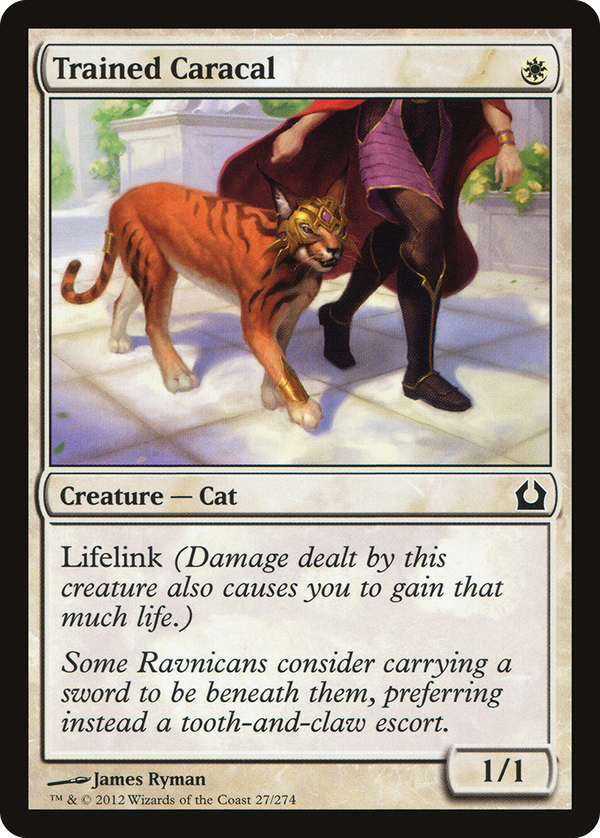 Trained Caracal (rtr)