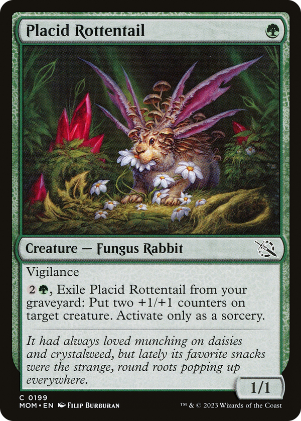 Placid Rottentail (mom)