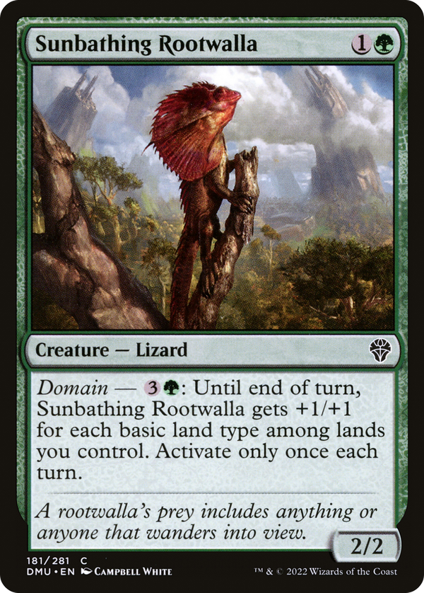 Sunbathing Rootwalla (dmu)