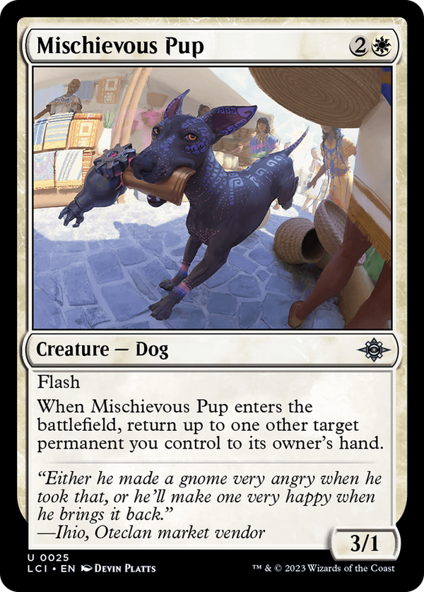 Mischievous Pup (lci)