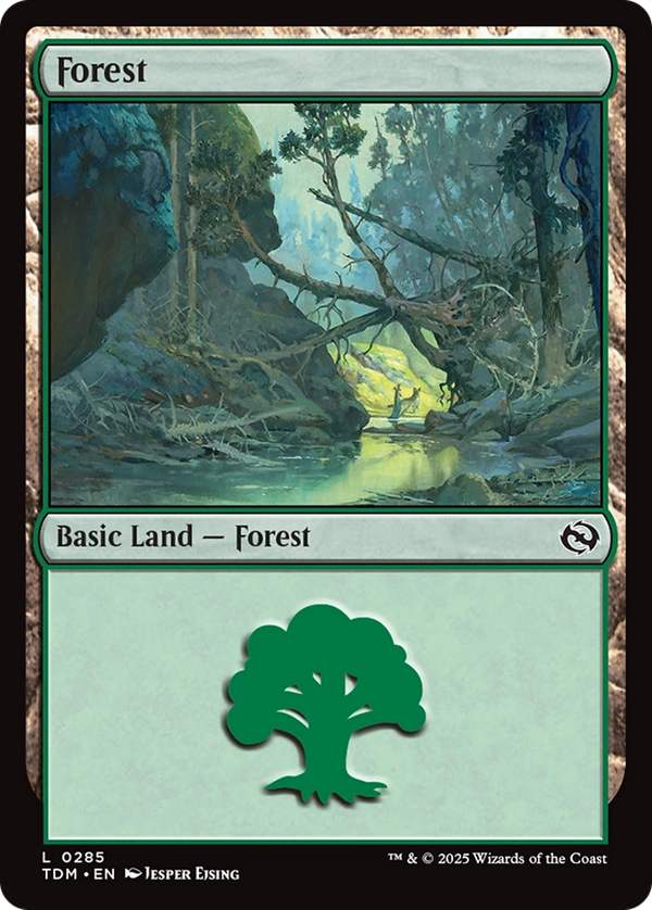 Forest (tdm)