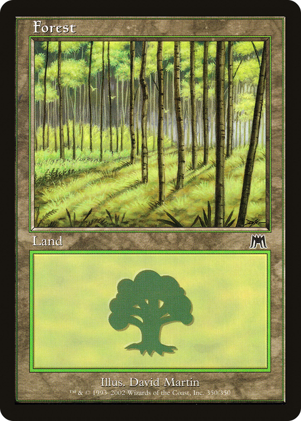 Forest (ons)