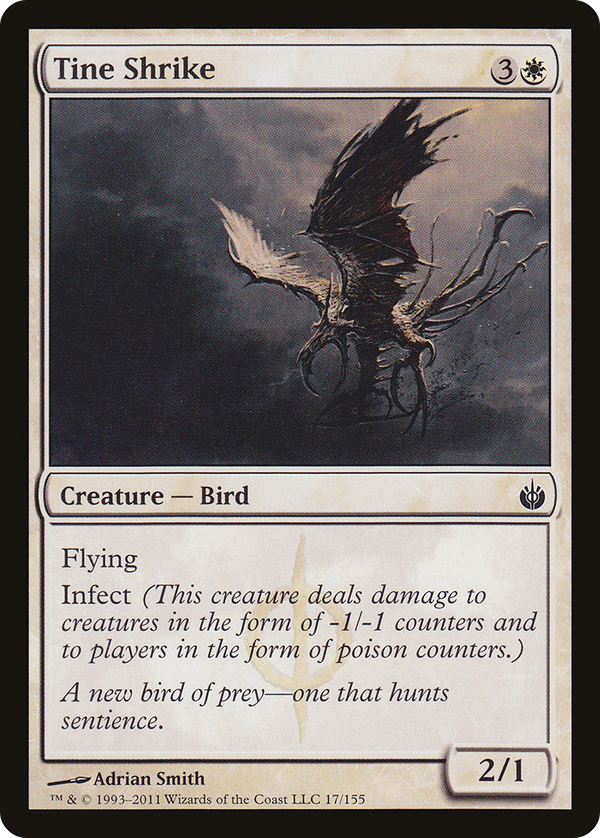 Tine Shrike (mbs)