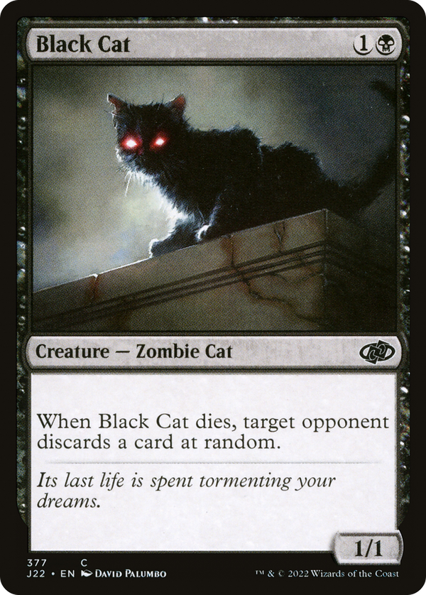 Black Cat (j22)