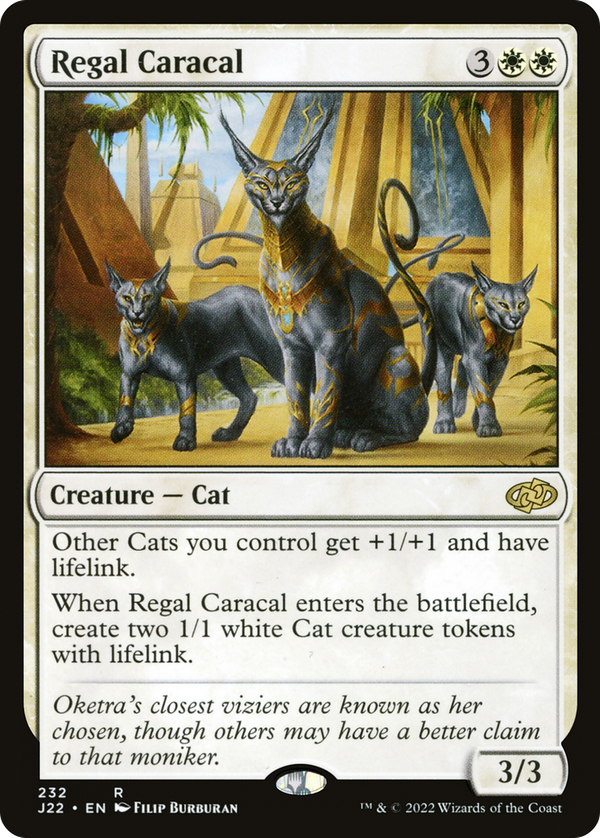 Regal Caracal (j22)
