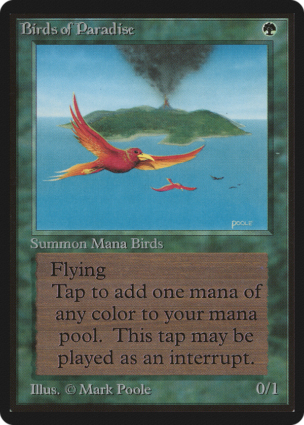Birds of Paradise (leb)