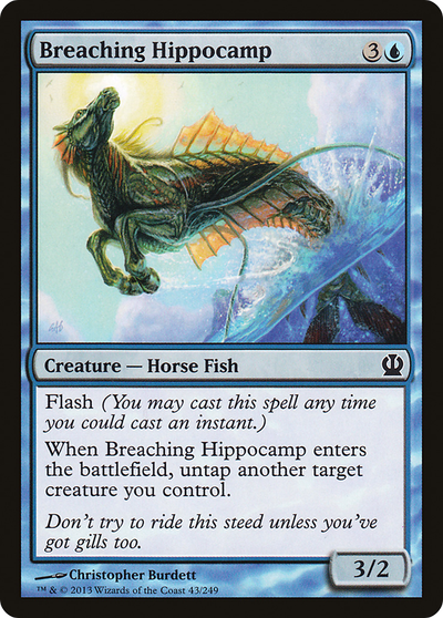 Breaching Hippocamp