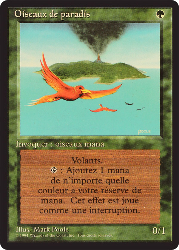 Birds of Paradise (fbb)