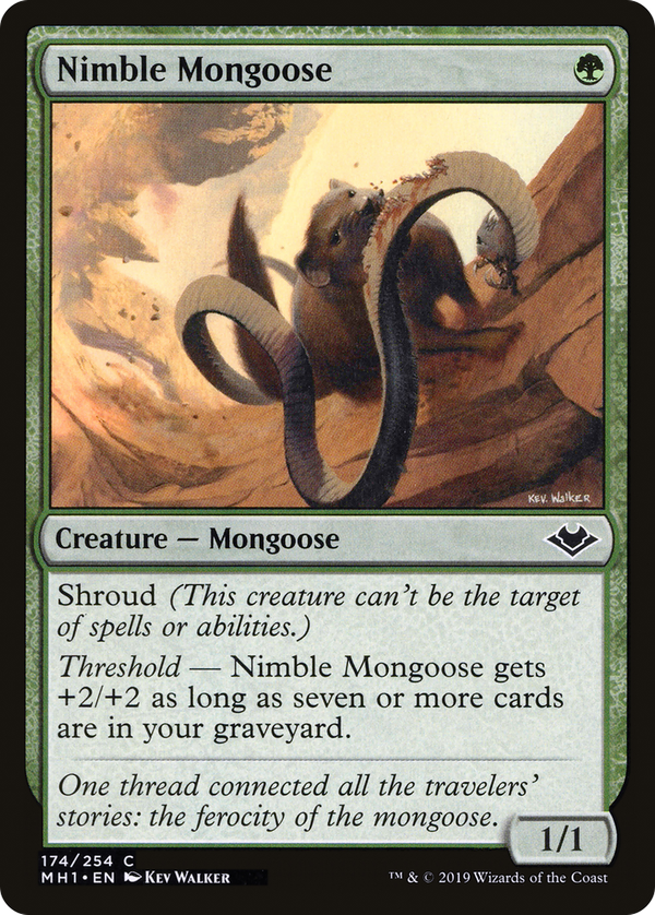 Nimble Mongoose (mh1)