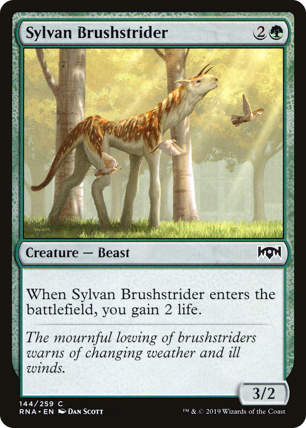 Sylvan Brushstrider (rna)