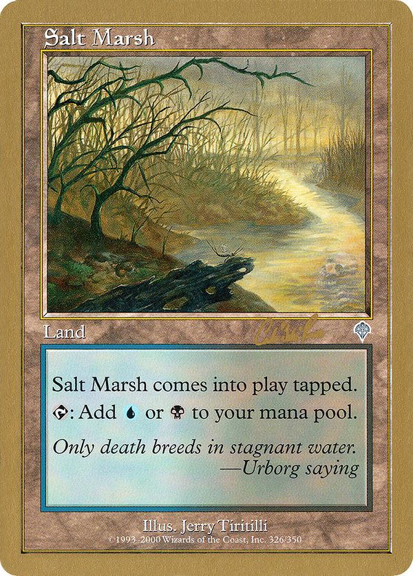 Salt Marsh (wc02)
