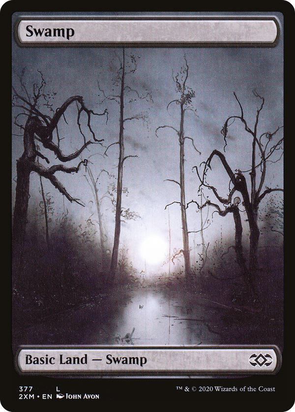 Swamp (2xm)