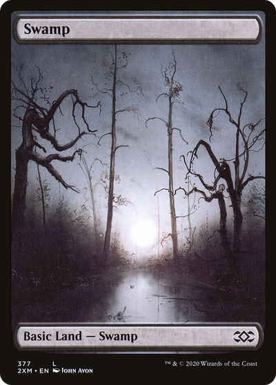 Swamp